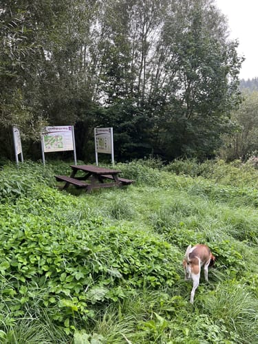 Premiumwanderweg: Traumschleife Stumm-Orgelweg