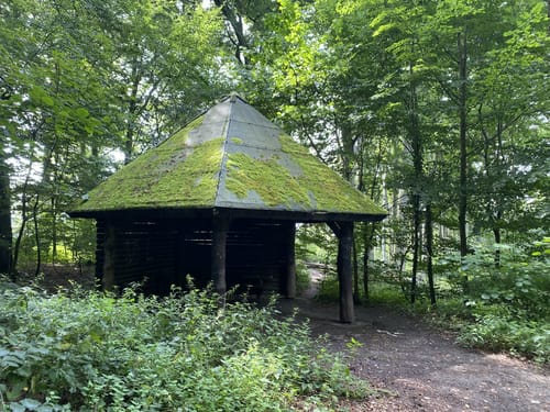 Rund ums Weitmarer Holz