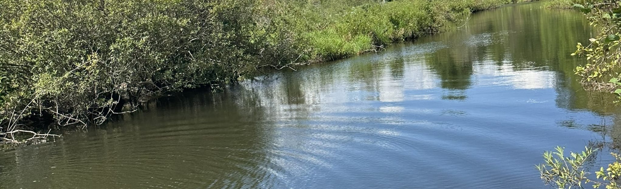 John A. State Park Route, Connecticut 24 Reviews, Map AllTrails