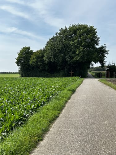 Zum Dynamitwäldchen