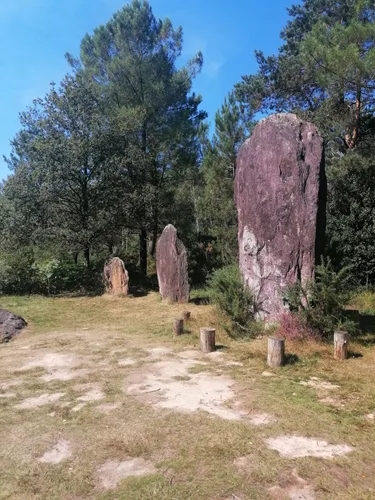 Best Wildlife Trails in Réserve naturelle régionale des Landes de