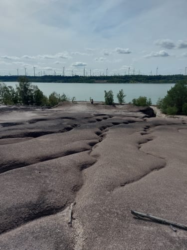 Um den Lappwaldsee