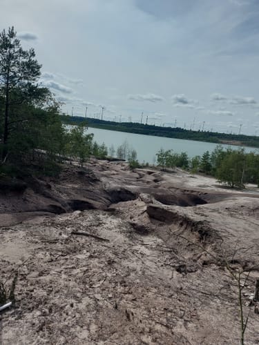 Um den Lappwaldsee