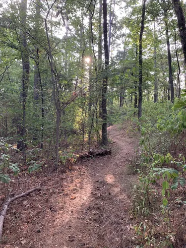 2023 Best Bird Watching Trails - EyJidWNrZXQiOiJhc3NldHMuYWxsdHJhaWxzLmNvbSIsImtleSI6InVwbG9hZHMvcGhvdG8vaW1hZ2UvNjQ5NzczMzYvOTQxYzJlZjdmNmEzNDc5NDIxMGMzZjlkNjNmNDhmNmIuanBnIiwiZWRpdHMiOnsidG9Gb3JtYXQiOiJ3ZWJwIiwicmVzaXplIjp7IndpZHRoIjo1MDAsImhlaWdodCI6NTAwLCJmaXQiOiJpbnNpZGUifSwicm90YXRlIjpudWxsLCJqcGVnIjp7InRyZWxsaXNRdWFudGlzYXRpb24iOnRydWUsIm92ZXJzaG9vdERlcmluZ2luZyI6dHJ1ZSwib3B0aW1pc2VTY2FucyI6dHJ1ZSwicXVhbnRpc2F0aW9uVGFibGUiOjN9fX0=