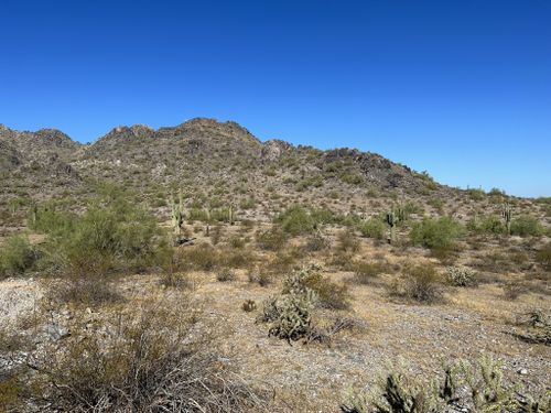 Quartz Ridge and LV Yates Loop: 667 Reviews, Map - Arizona