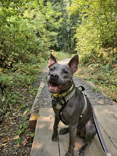 Best Hikes and Trails in Kaiser Ridge Park | AllTrails