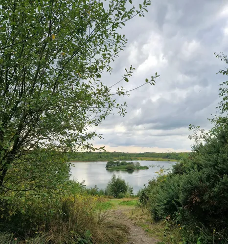 Best Hikes and Trails in Conkers National Forest | AllTrails