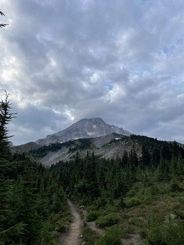 Mazama trail 2025 mt hood