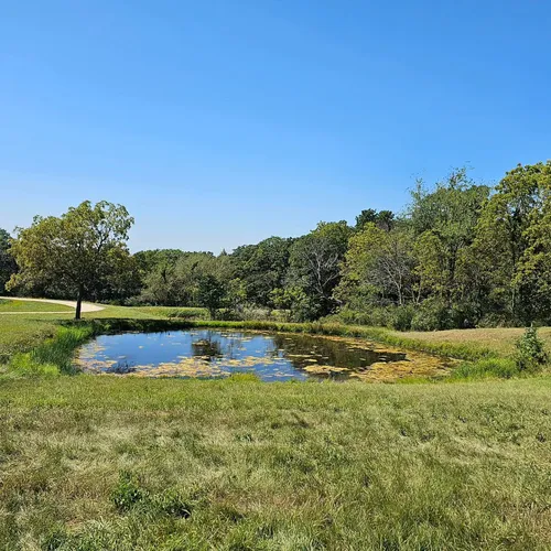 2023 Best Forest Trails in Scales Mound AllTrails