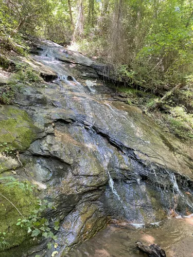 Best Hikes and Trails in Blue Wall Preserve | AllTrails