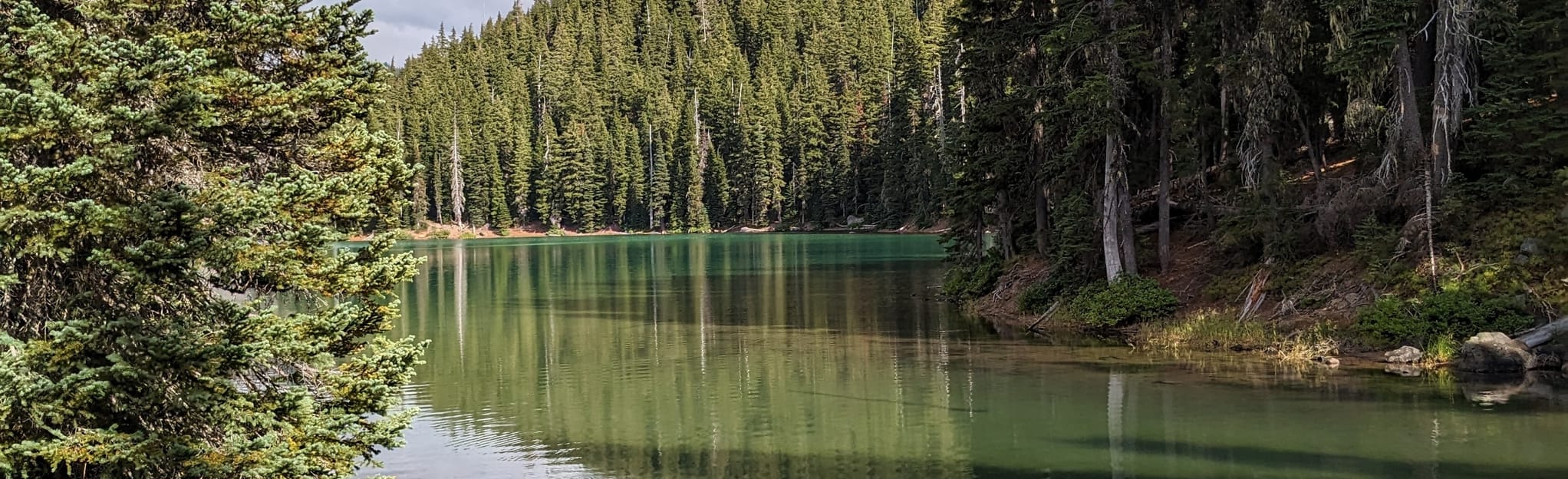 Devils Lake Trail Oregon 161 - EyJidWNrZXQiOiJhc3NldHMuYWxsdHJhaWxzLmNvbSIsImtleSI6InVwbG9hZHMvcGhvdG8vaW1hZ2UvNjQ5OTg5ODcvYTIwZmQ4ZDhmMjY2Y2E0MzM2ZTk3MjA4Y2QwNDU2MWQuanBnIiwiZWRpdHMiOnsidG9Gb3JtYXQiOiJqcGVnIiwicmVzaXplIjp7IndpZHRoIjoyMDQ0LCJoZWlnaHQiOjYyNCwiZml0IjoiY292ZXIifSwicm90YXRlIjpudWxsLCJqcGVnIjp7InRyZWxsaXNRdWFudGlzYXRpb24iOnRydWUsIm92ZXJzaG9vdERlcmluZ2luZyI6dHJ1ZSwib3B0aW1pc2VTY2FucyI6dHJ1ZSwicXVhbnRpc2F0aW9uVGFibGUiOjN9fX0=