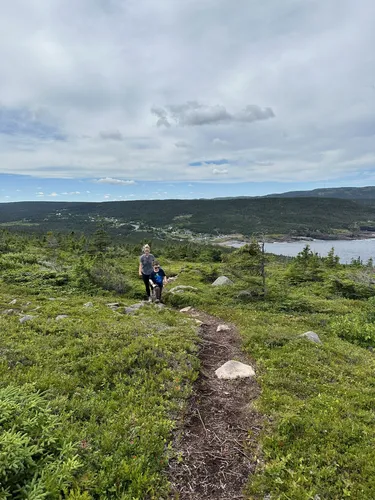 Cape 2024 spear trail