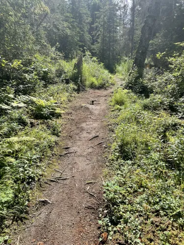 2023 Best Moderate Trails in Soldotna | AllTrails