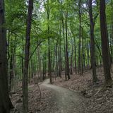 Lookout Ridge Loop and Skyline Overlook, Ohio - 741 Reviews, Map ...