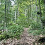 Stoney Creek Pond Trail