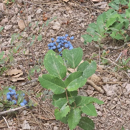 2023 Best Kid Friendly Trails in Tesuque AllTrails