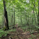 Peekamoose and Table Mountains Trail, New York - 631 Reviews, Map ...