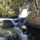 Koosah and Sahalie Falls Trail, Oregon - 1,537 Reviews, Map | AllTrails