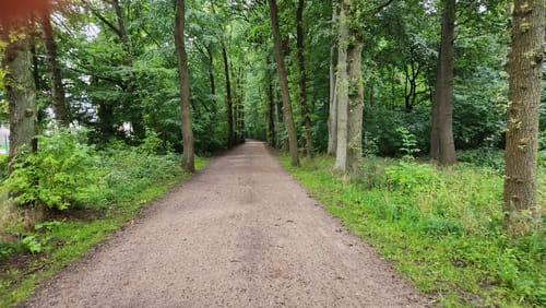 Durch den Volkspark Altona
