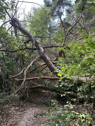 Rund um den Neuendorfer See