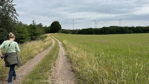 Berescheid: Edelkrebspfad im Schafbachtal