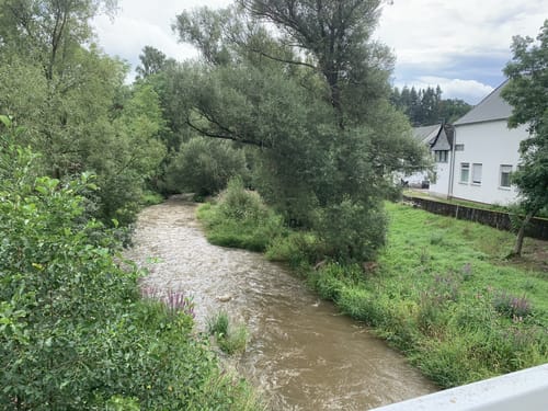 Felder und Wildgehege Gehlweiler