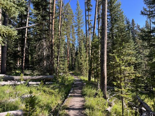 Cascade Lake Trail, Montana - 227 Reviews, Map