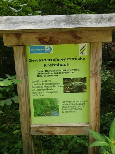 Hegauer Kegelspiel: Krebsbachputzer
