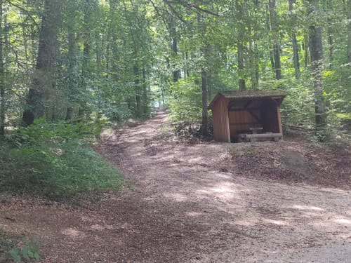 Hegauer Kegelspiel: Krebsbachputzer