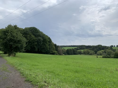 Vom Campingplatz Weiherhof um den Wiesensee