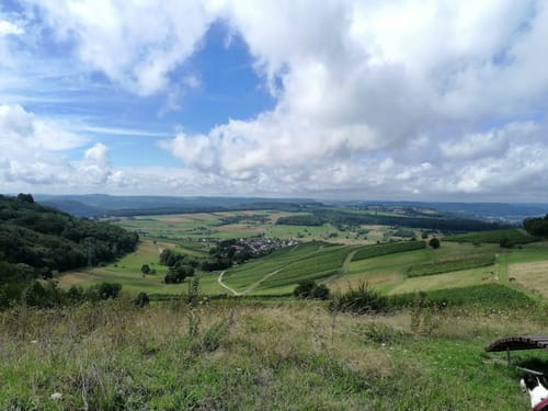 Karlskopf Panoramaweg (Moselsteig Seitensprung)