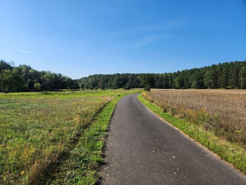 Rundweg Jerischker Wald