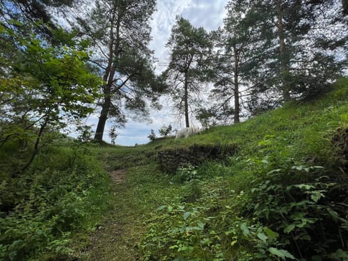 Wacholderhöhe (Traufgang)