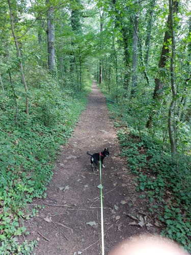 Traumrunde Schwanberg