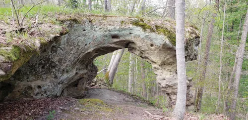 vinton furnace experimental forest