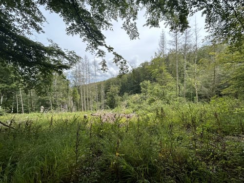 Kassel: Rundweg 19