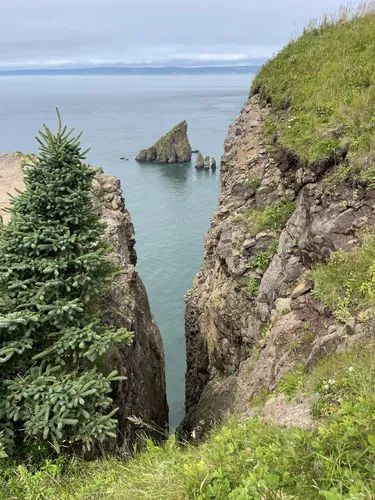 Bedste vandreture og ruter i Cape Split Provincial Park | AllTrails