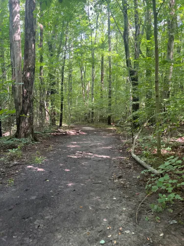 2023 Best Views Trails in Three Oaks | AllTrails