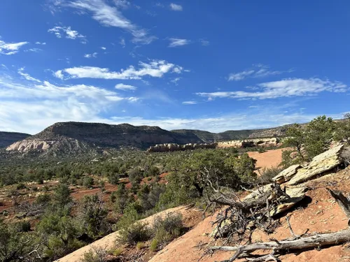 Best Hikes And Trails In Canyons Of The Ancients National Monument 