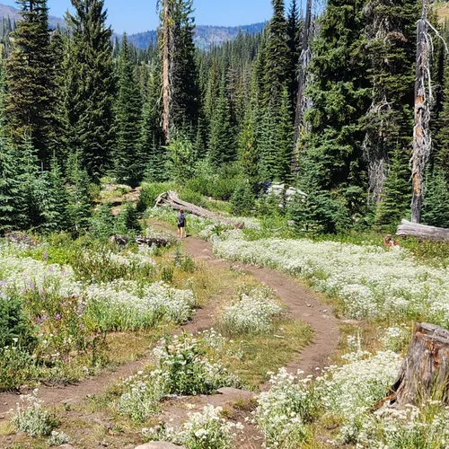 Best Walking Trails in Pollock AllTrails