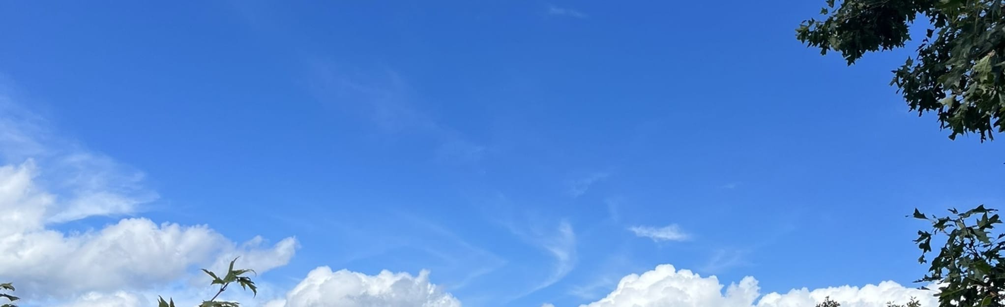 Iron Ore Hill Loop Trail, Kentucky 364 Reviews, Map AllTrails