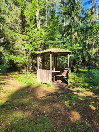 Rundweg Jerischker Wald
