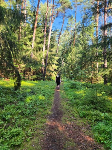 Rundweg Jerischker Wald
