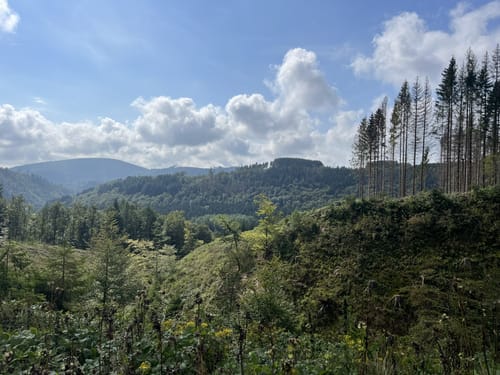 Von Winterberg zur Ruhrquelle