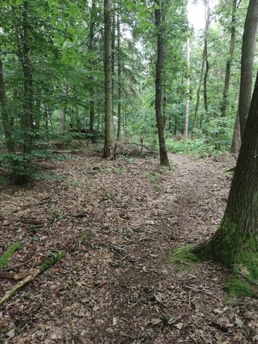 H8 Naumburg: Im Tal der zwei Burgen (Extratour)