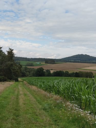 H8 Naumburg: Im Tal der zwei Burgen (Extratour)