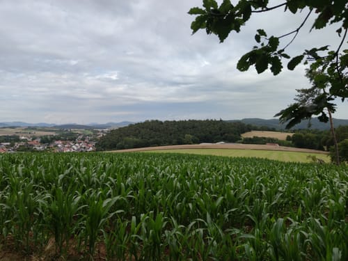H8 Naumburg: Im Tal der zwei Burgen (Extratour)