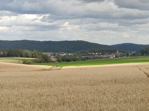 H8 Naumburg: Im Tal der zwei Burgen (Extratour)