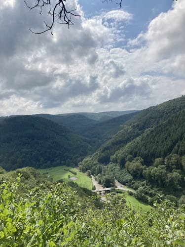 Wanderweg D2 (Datzeroth)
