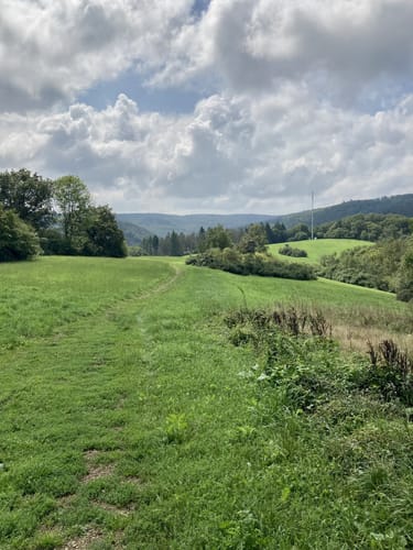 Wanderweg D2 (Datzeroth)
